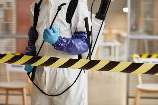 Professional Sewage Cleanup technician working in Big Bear City, CA