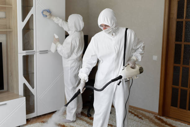 24/7 Emergency Sewage Cleanup experts in Big Bear City, CA