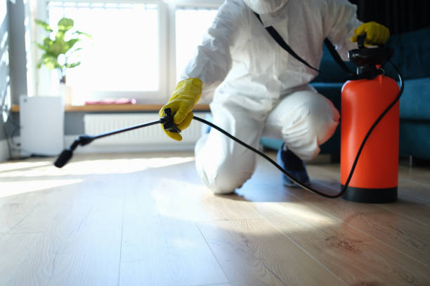 Reliable Sewage Cleanup contractor in Big Bear City, CA by Dulley Family Biohazard Services
